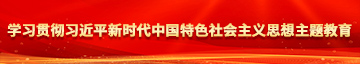 操屄玖玖玖学习贯彻习近平新时代中国特色社会主义思想主题教育